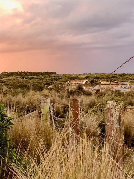 Windspray Cottage ポート・アルバート エクステリア 写真